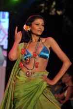 Model walk the ramp for Anupama Dayal Show at IRFW 2012 Day 1 in Goa on 28th Nov 2012 (77).JPG